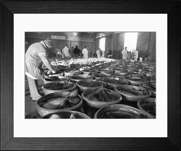 Framed Print : The catch from the trawler Valther laid out in kits at Hull Framed Print : The catch from the trawler Valther laid out in kits at Hull