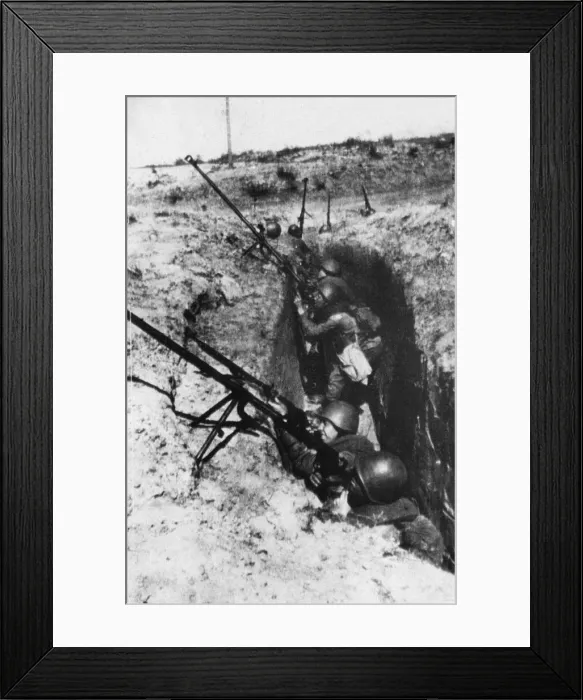 Framed Print : The Battle of Stalingrad (23 August 1942 e 2 February 1943 Framed Print : The Battle of Stalingrad (23 August 1942 e 2 February 1943