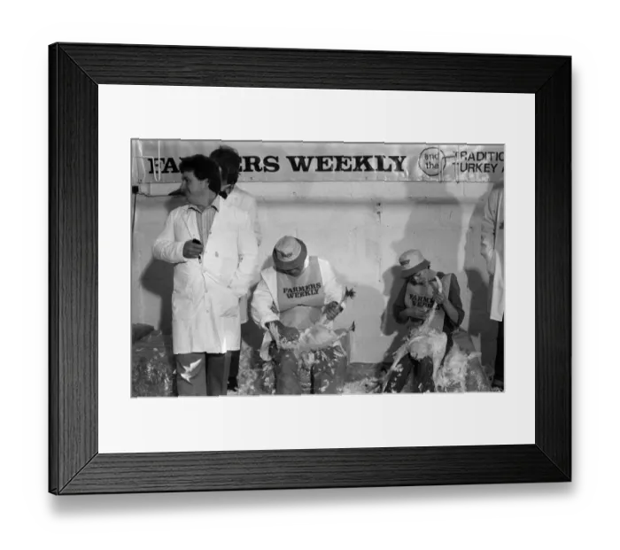 Framed Print : Turkey plucking championship at Henley. December 1984 Framed Print : Turkey plucking championship at Henley. December 1984