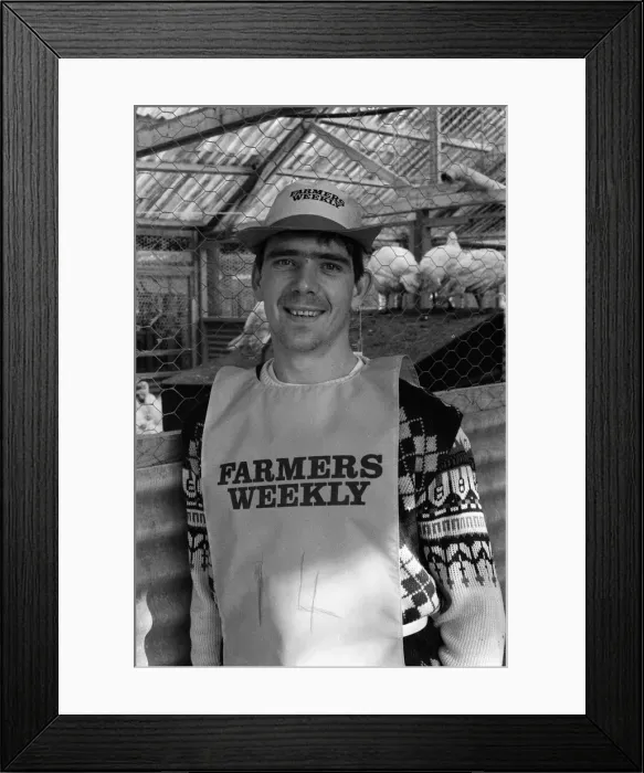 Framed Print : Turkey plucking championship at Henley. December 1984