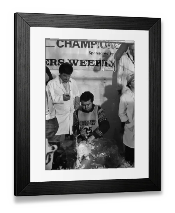 Framed Print : Turkey plucking championship at Henley. December 1984 Framed Print : Turkey plucking championship at Henley. December 1984