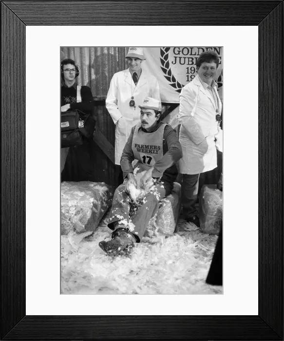 Framed Print : Turkey plucking championship at Henley. December 1984 Framed Print : Turkey plucking championship at Henley. December 1984