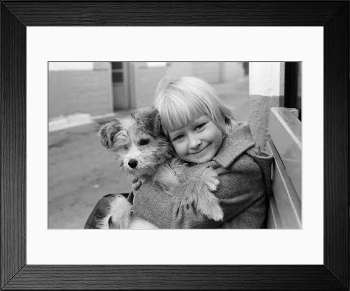 Framed Print : A young girl holding her puppy, Scamp. 2nd January 1980 Framed Print : A young girl holding her puppy, Scamp. 2nd January 1980