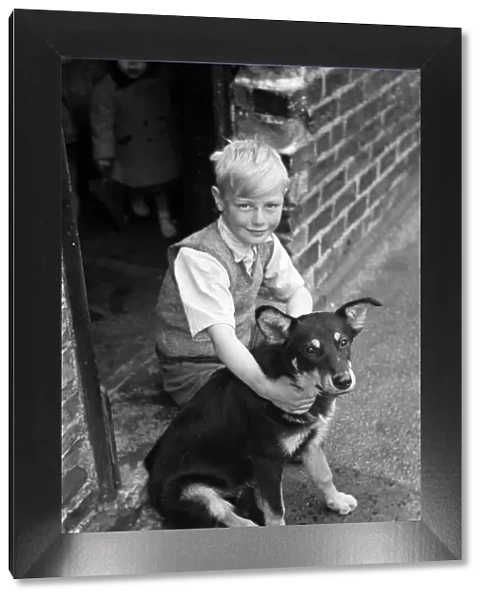 Kenneth Griffiths, pictured at home with Lassie, the dog he took with him on his