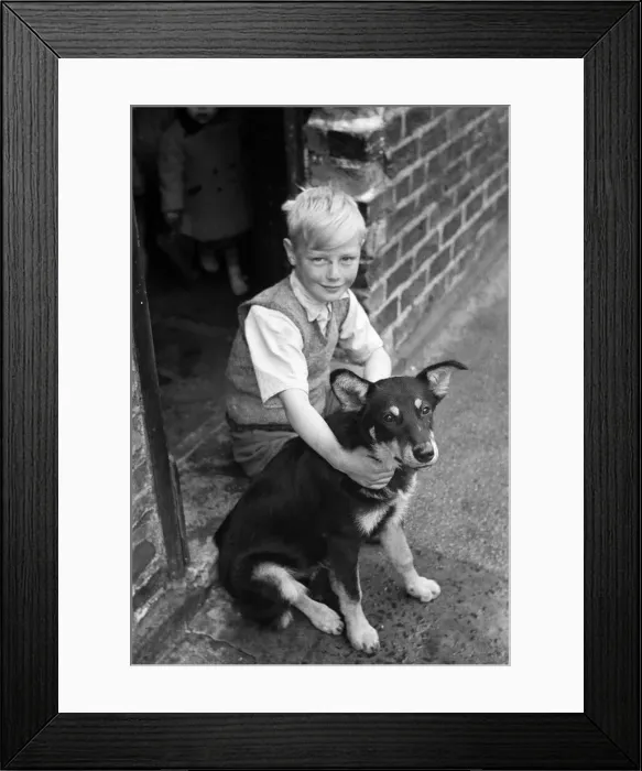 Framed Print : Kenneth Griffiths, pictured at home with Lassie, the dog he took with him on his