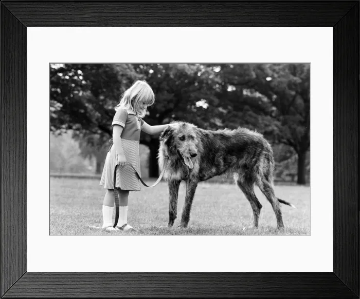 Framed Print : 5-year-old Billie Joe Hibberd of Wood Green, London, always seems to haven problems Framed Print : 5-year-old Billie Joe Hibberd of Wood Green, London, always seems to haven problems