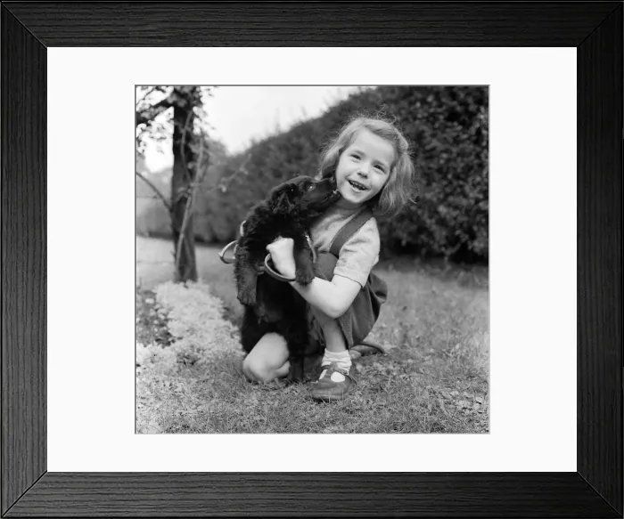 Framed Print : 6 year old Ann Field and her dog. Ardwick, Manchester, 7th March 1957 Framed Print : 6 year old Ann Field and her dog. Ardwick, Manchester, 7th March 1957
