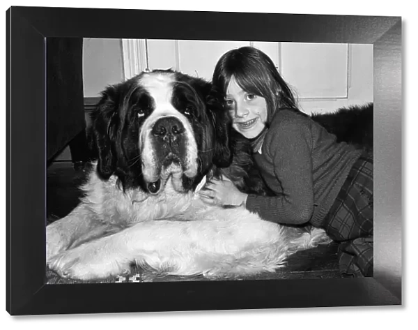 Sebastian the St Bernard that got lost and changed hands three times