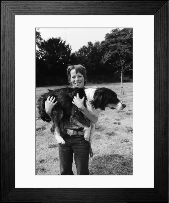 Framed Print : 9 year old Simon Mallon who lives in Shaldon, Devon, was given a puppy for his birthday Framed Print : 9 year old Simon Mallon who lives in Shaldon, Devon, was given a puppy for his birthday
