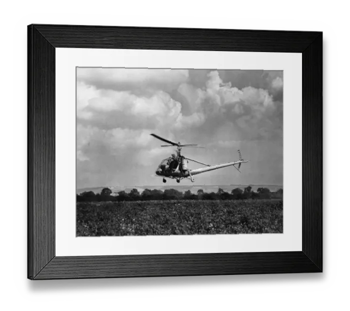 Framed Print : Flying mostly at a height of only four feet and speeds down to 30 mph this pest control Framed Print : Flying mostly at a height of only four feet and speeds down to 30 mph this pest control