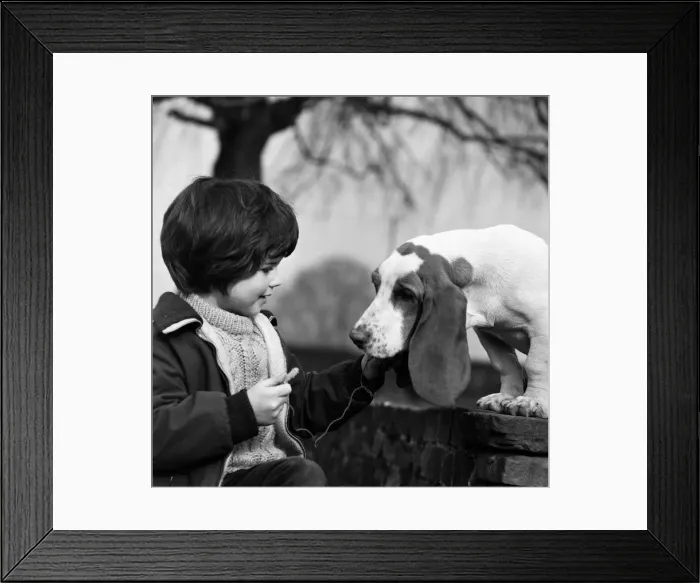 Framed Print : Five-year-old Caroline Williams of Northwood Hills with five-month-old Basset Hound puppy Framed Print : Five-year-old Caroline Williams of Northwood Hills with five-month-old Basset Hound puppy