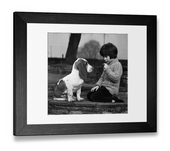Framed Print : Five-year-old Caroline Williams of Northwood Hills with five-month-old Basset Hound puppy Framed Print : Five-year-old Caroline Williams of Northwood Hills with five-month-old Basset Hound puppy
