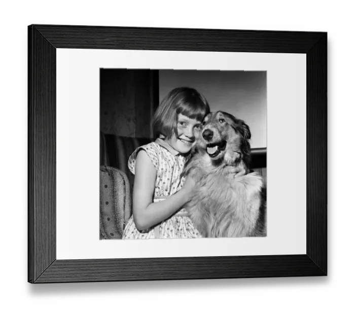 Framed Print : Girl gets RSPCA bravery award. Eight-year-old Margaret O Connor of Denton, Manchester Framed Print : Girl gets RSPCA bravery award. Eight-year-old Margaret O Connor of Denton, Manchester