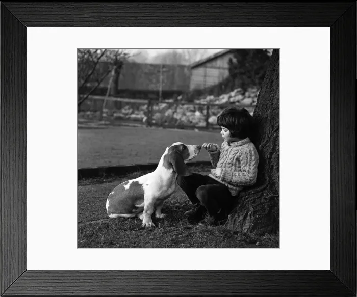 Framed Print : Five-year-old Caroline Williams of Northwood Hills with five-month-old Basset Hound puppy Framed Print : Five-year-old Caroline Williams of Northwood Hills with five-month-old Basset Hound puppy