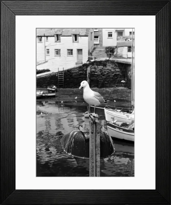 Framed Print : General scenes in Polperro, Cornwall. 13th July 1967 Framed Print : General scenes in Polperro, Cornwall. 13th July 1967