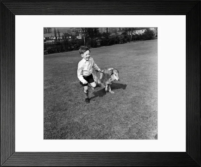Framed Print : Philip Turner with his dog Rex. 9th April 1963 Framed Print : Philip Turner with his dog Rex. 9th April 1963