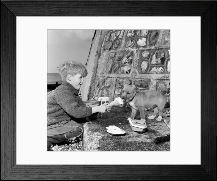 Framed Print : 6-year-old Mark Austin from Rickmansworth, spending the Easter holidays with his brother Framed Print : 6-year-old Mark Austin from Rickmansworth, spending the Easter holidays with his brother