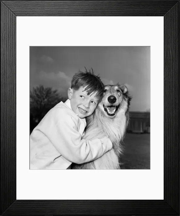 Framed Print : Philip Turner with his dog Rex. 9th April 1963 Framed Print : Philip Turner with his dog Rex. 9th April 1963