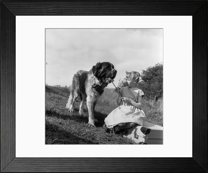 Framed Print : Linda Ramshaw aged 9, of Crookhill, County Durham, who has a holiday problem Framed Print : Linda Ramshaw aged 9, of Crookhill, County Durham, who has a holiday problem