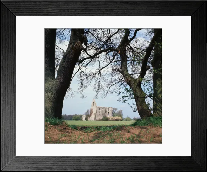 Framed Print : Newark Priory in Pyrford, Surrey. July 1967 Framed Print : Newark Priory in Pyrford, Surrey. July 1967