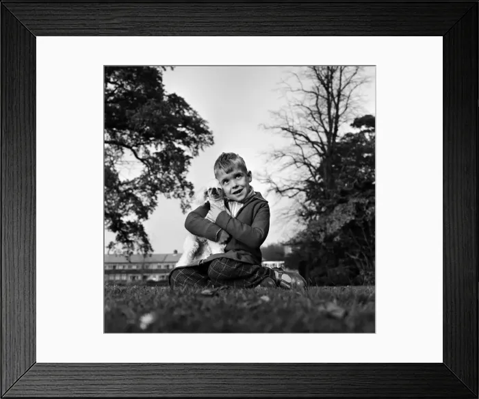 Framed Print : Six-year-old Richard Brown with his miniature white Poodle Dewdrop Framed Print : Six-year-old Richard Brown with his miniature white Poodle Dewdrop