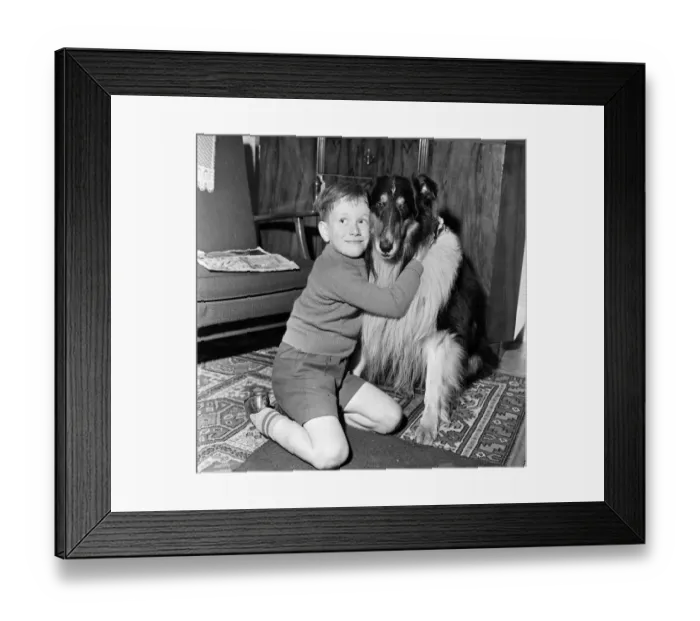 Framed Print : A young boy with his pet dog. 5th December 1961 Framed Print : A young boy with his pet dog. 5th December 1961