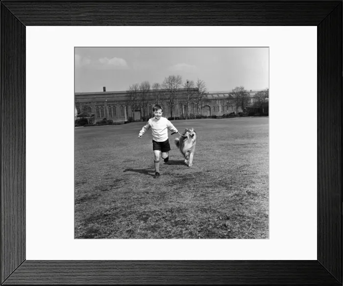 Framed Print : Philip Turner with his dog Rex. 9th April 1963