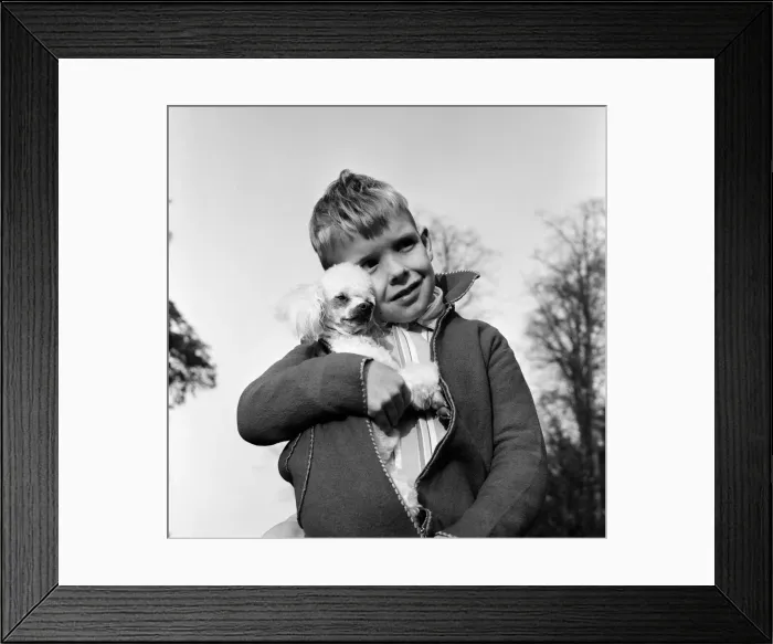 Framed Print : Six-year-old Richard Brown with his miniature white Poodle Dewdrop