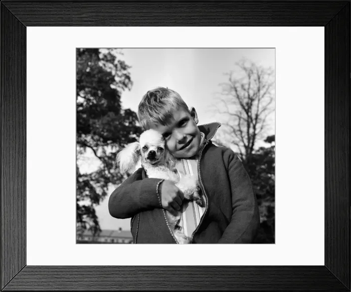 Framed Print : Six-year-old Richard Brown with his miniature white Poodle Dewdrop