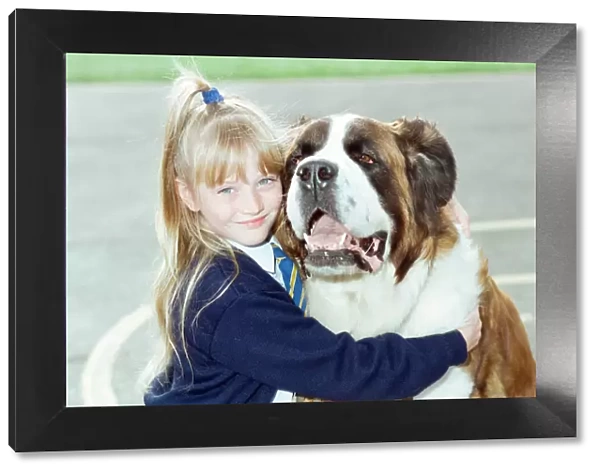 A young girl pictured at school with a St. Bernard dog. 10th September 1990