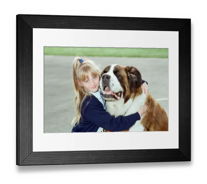 Framed Print : A young girl pictured at school with a St. Bernard dog. 10th September 1990 Framed Print : A young girl pictured at school with a St. Bernard dog. 10th September 1990