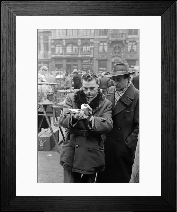 Framed Print : Market scenes in the Grand Place, the central square, Brussels, Belgium. 28th March 1955 Framed Print : Market scenes in the Grand Place, the central square, Brussels, Belgium. 28th March 1955