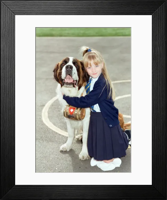 Framed Print : A young girl pictured at school with a St. Bernard dog. 10th September 1990 Framed Print : A young girl pictured at school with a St. Bernard dog. 10th September 1990