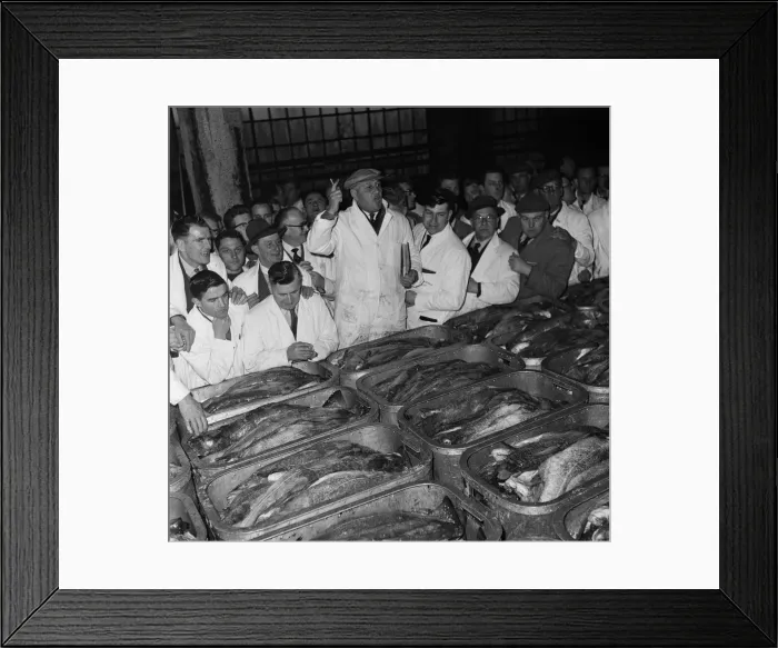 Framed Print : Fishing feature in Grimsby, Lincolnshire. Auctioneer Sam Bee raises his hand Framed Print : Fishing feature in Grimsby, Lincolnshire. Auctioneer Sam Bee raises his hand