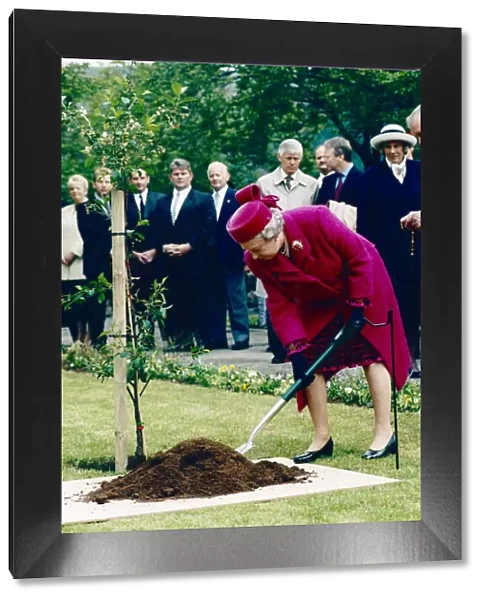 Royal visit, Queen Elizabeth II visiting Wales. Pictured planting a tree a in the village