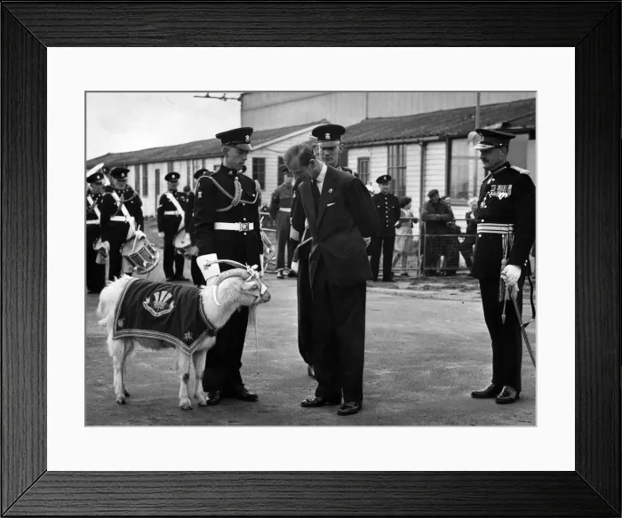 Framed Print : Prince Philip, Duke of Edinburgh talks to the Goat Major Framed Print : Prince Philip, Duke of Edinburgh talks to the Goat Major