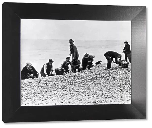 Unemployed men gather stones for use in the potteries
