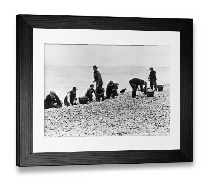 Framed Print : Unemployed men gather stones for use in the potteries Framed Print : Unemployed men gather stones for use in the potteries