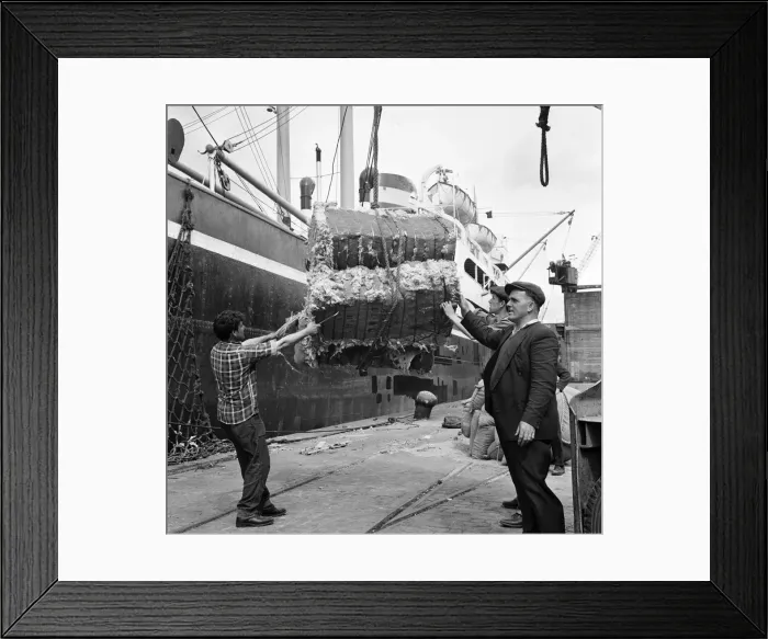 Framed Print : Dockers loading a ship at Gladstone Dock, Liverpool. 9th August 1965 Framed Print : Dockers loading a ship at Gladstone Dock, Liverpool. 9th August 1965