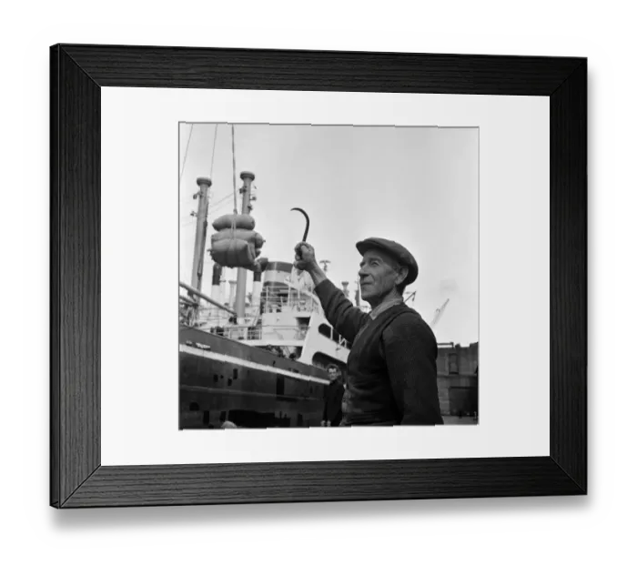 Framed Print : Dockers loading a ship at Gladstone Dock, Liverpool. Pictured is Danny Cull, 67
