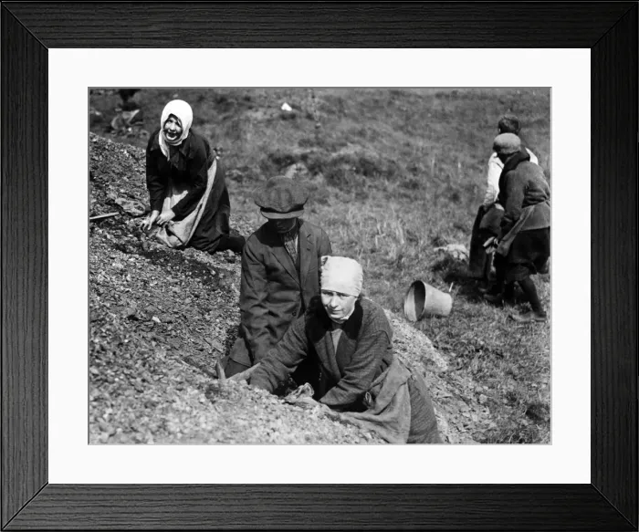 Framed Print : Women with scarves round their heads search a spoil heap near Manchester for fuel during Framed Print : Women with scarves round their heads search a spoil heap near Manchester for fuel during