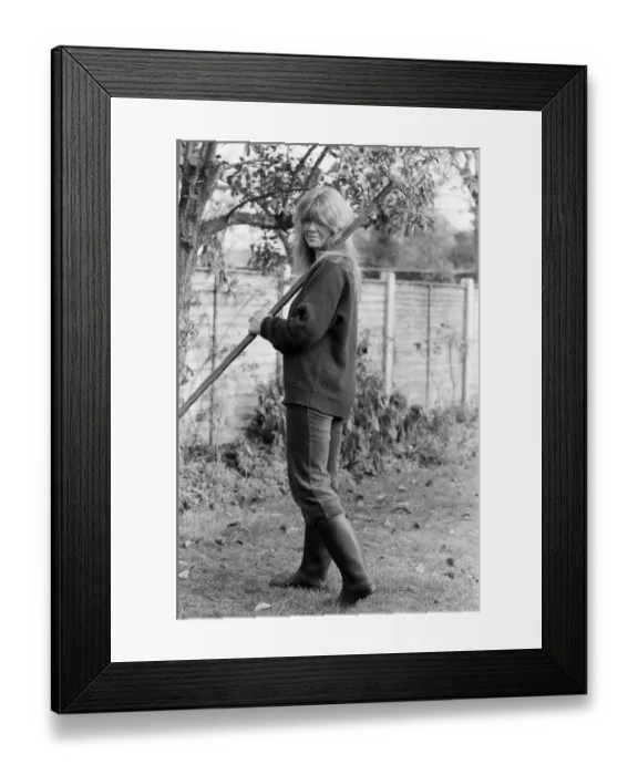 Framed Print : Novelist Jilly Cooper pictured at home in Putney. 1st December 1978 Framed Print : Novelist Jilly Cooper pictured at home in Putney. 1st December 1978