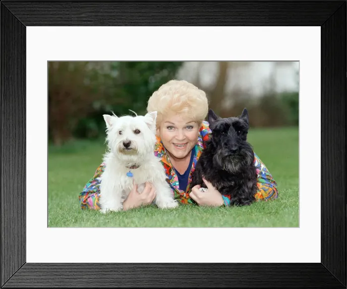 Framed Print : Actress Pam St. Clement with her two pet dogs. 14th April 1992 Framed Print : Actress Pam St. Clement with her two pet dogs. 14th April 1992