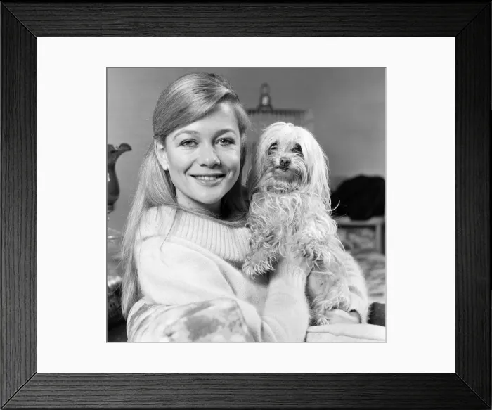 Framed Print : The Crufts show from 12th-14th February will have anew feature this year Framed Print : The Crufts show from 12th-14th February will have anew feature this year