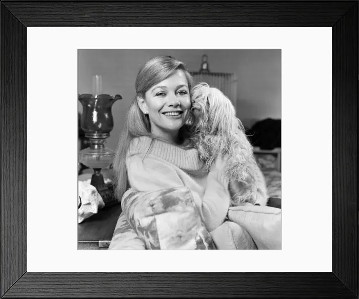 Framed Print : The Crufts show from 12th-14th February will have a new feature this year Framed Print : The Crufts show from 12th-14th February will have a new feature this year