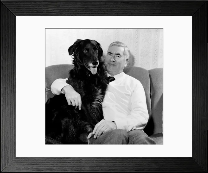 Framed Print : The Crufts show from 12th-14th February will have a new feature this year Framed Print : The Crufts show from 12th-14th February will have a new feature this year