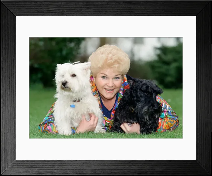 Framed Print : Actress Pam St. Clement with her two pet dogs. 14th April 1992 Framed Print : Actress Pam St. Clement with her two pet dogs. 14th April 1992