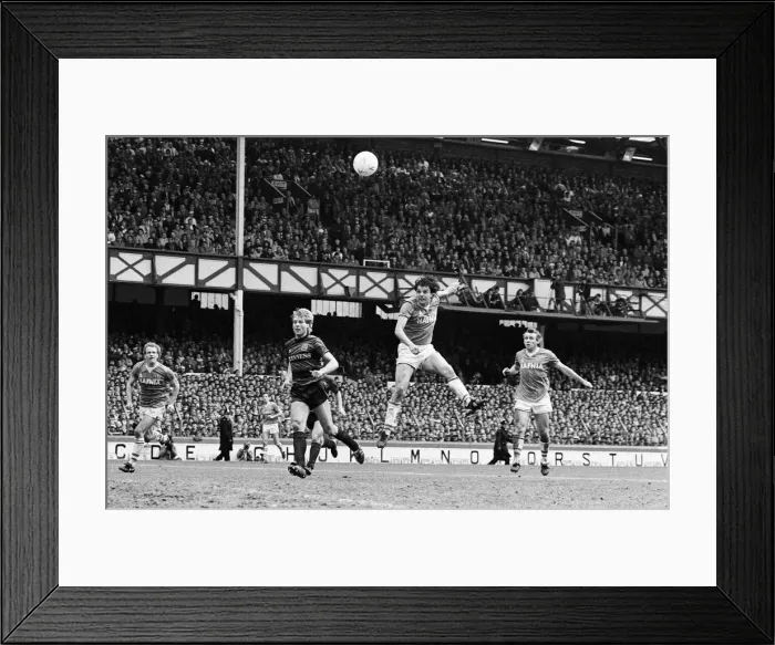 Framed Print : Everton clinched the league title for the eighth time in their history with a 2-0 win Framed Print : Everton clinched the league title for the eighth time in their history with a 2-0 win