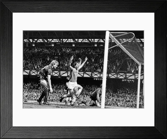 Framed Print : Everton clinched the league title for the eighth time in their history with a 2-0 win Framed Print : Everton clinched the league title for the eighth time in their history with a 2-0 win