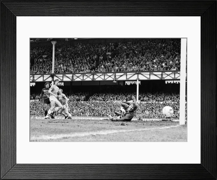 Framed Print : Everton clinched the league title for the eighth time in their history with a 2-0 win Framed Print : Everton clinched the league title for the eighth time in their history with a 2-0 win